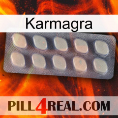 Karmagra 08